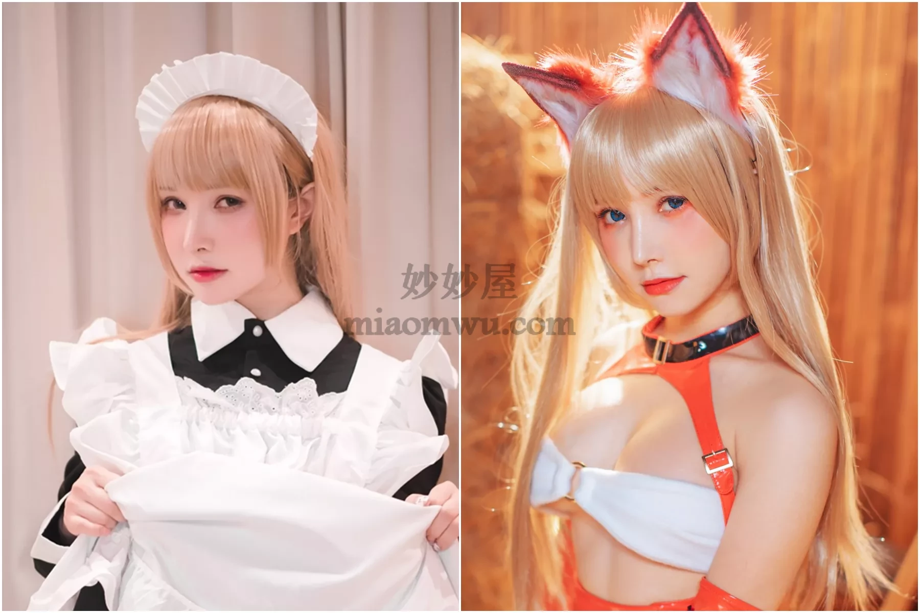 【一千只猫薄禾】4套合集