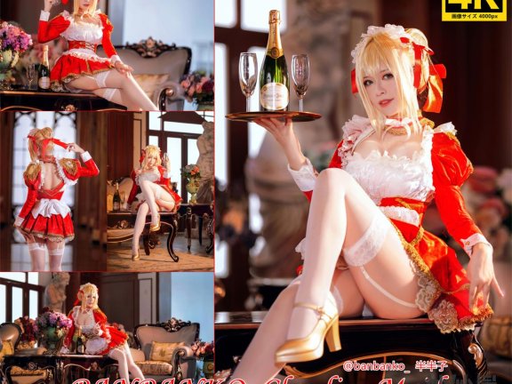 半半子 Claudius x Kyrielight Maid – 半半子X面饼仙儿 [22P-224MB]