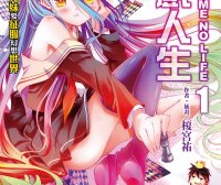 【轻小说】NO GAME NO LIFE 游戏人生 [1-10卷+特典+短篇+外传]