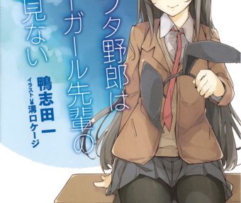 【轻小说】青春猪头少年系列 [1-11卷]