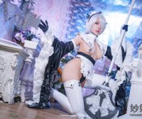 虎森森 2B女仆 [15P-78MB]