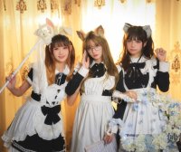 兔子Zzz不吃胡萝卜 &Conkon控控&贰加六 魔法屋 [43P-548MB]