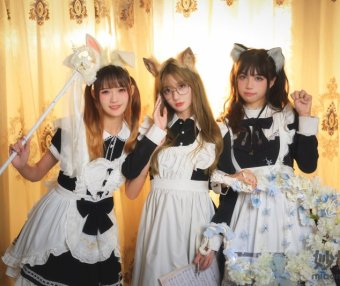 兔子Zzz不吃胡萝卜 &Conkon控控&贰加六 魔法屋 [43P-548MB]