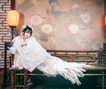 兔子Zzz不吃胡萝卜 吉祥鸟 [21P-153MB]