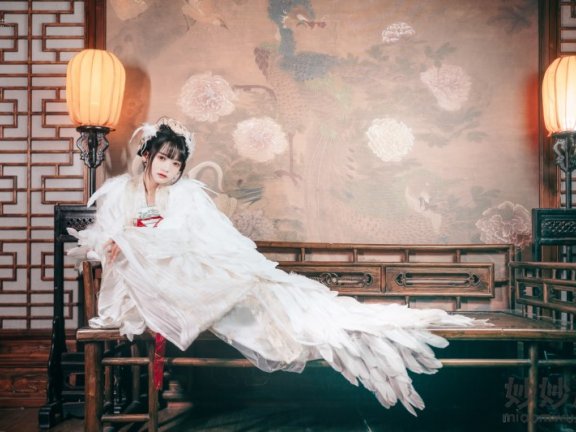 兔子Zzz不吃胡萝卜 吉祥鸟 [21P-153MB]