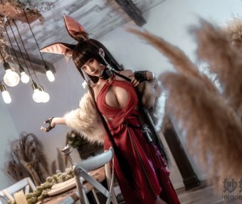 蠢沫沫 碧蓝航线 赤城[40P-550MB]