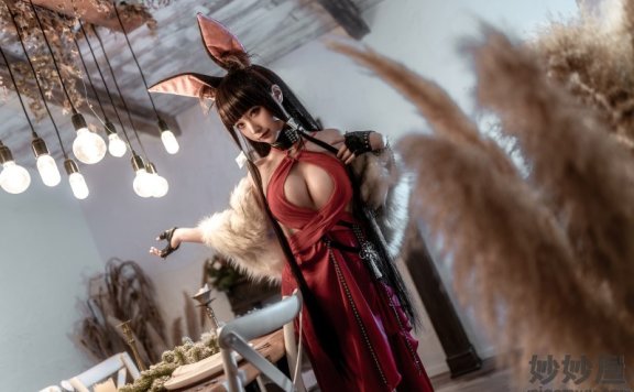 蠢沫沫 碧蓝航线 赤城[40P-550MB]